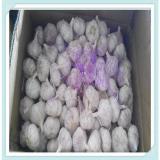 2015 Chinese natural garlic price, fresh natural garlic