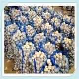 Hot Sale Normal / Pure White China Garlic with Good Quality