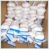 Garlic Supplier chinese pure white garlic 2015 fresh garlic price