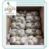 2015 fresh normal white garlics packed in 10kg box mesh bag white garlic