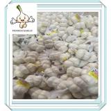 2016 new crop garlic price per ton China Pure White Garlic for Maldives 10kg/mesh bag