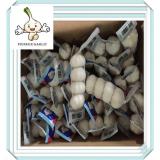 Normal White Garlic Loose Packing 20 Kg Mesh Bag Fresh China Natural Garlic Price