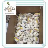 China Super White Garlic - Large Quantity 2015 Fresh White Garlic in Stock