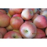 Fresh Large Nutrition Fuji Apple , Red Delicious Apple Contains Zinc