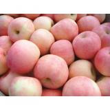 Big Organic Fresh Fuji Apple Long Shelf Life Rich In Carbohydrates