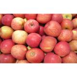 Crispy Delicious Red Fresh Fuji Apple Juicy For Baked / Stewed