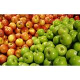 Large Crisp Tasty Fresh Green / Red Star Apple For Fruit Supermarket