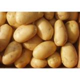 Natural Fresh Yellow Organic Potatoes Long Shaped For Potato Chips / Crisps