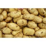 Minerals India Organic Potato Heath Benifits For Vegetable Market