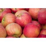 Anti-oxidant strength (ORAC value) of 100 g apple fruit with 5900 TE Nutrition Fuji Apple Delicious and crunchy apple fr