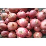 Sweet Red Natural Fresh Onion