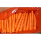 Bright Red Crunchy Organic Carrot