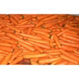 Contains Minerals Fresh Organic Carrot Washed And Polished , Anti-Oxidants, Anti-cancer