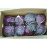 Organic Round Purple Fresh Chinese Napa Cabbage Crispy Contains Vitamin-A , Thiamin, Antibacterial anti-inflammatory