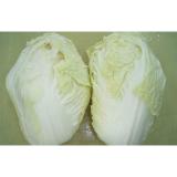 Long White Chinese Napa Cabbage