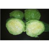 Fresh Green Round Chinese Napa Cabbage Light Sweet Taste , Anti-Breast Cancers, Petiole hypertrophy