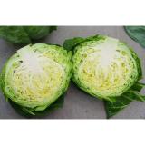 Contains Carotenes , Thiocyanates Round Chinese Napa Cabbage Low Calories