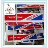 Supplier Pure White Garlic Fresh Normal And Pure White Garlic, White Garlic