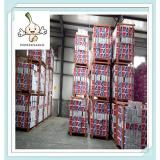 cheap stock new style new crop white garlic Factory supply quick delivery garlic