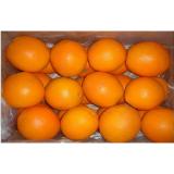 Fresh Fruit Raw Citrus Junos Fresh Navel Orange Contains Sugars , Dietary Fibre,average individual fruit weight 300~350g