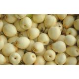 Sweety Water Yellow Fresh Ya Pear 8cm For Supermarket , Shop