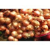 Authenticated Non-Peeled Red Asian Shallots Fresh Contains Flavonoids